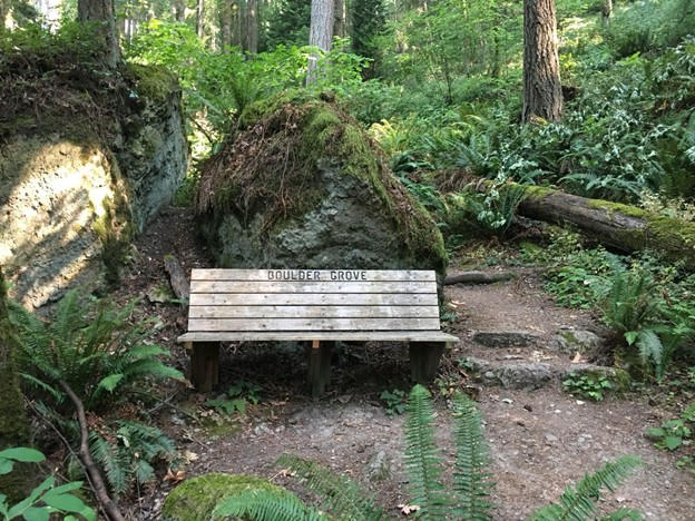 Boulder Grove trail with bench