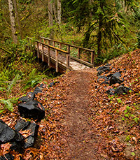 View of a bridge on a trail